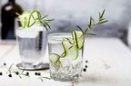 The best gins for your home bar