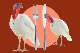 Two white turkeys with a knife and fork on an orange background.