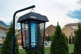 Flowtron BK-40D Electronic Insect Zapper hanging on a post with houses in the background