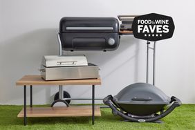 Best Electric Grills