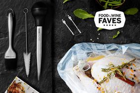 Best Turkey Basters