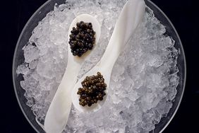 caviar on spoons on ice