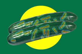 Two cucumbers and Salmonella concept on a green and yellow background. 