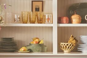 Anthropologie Kitchen Deals