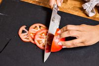 A person slices tomatoes with the Shun Classic Chef's 8-Inch Knife