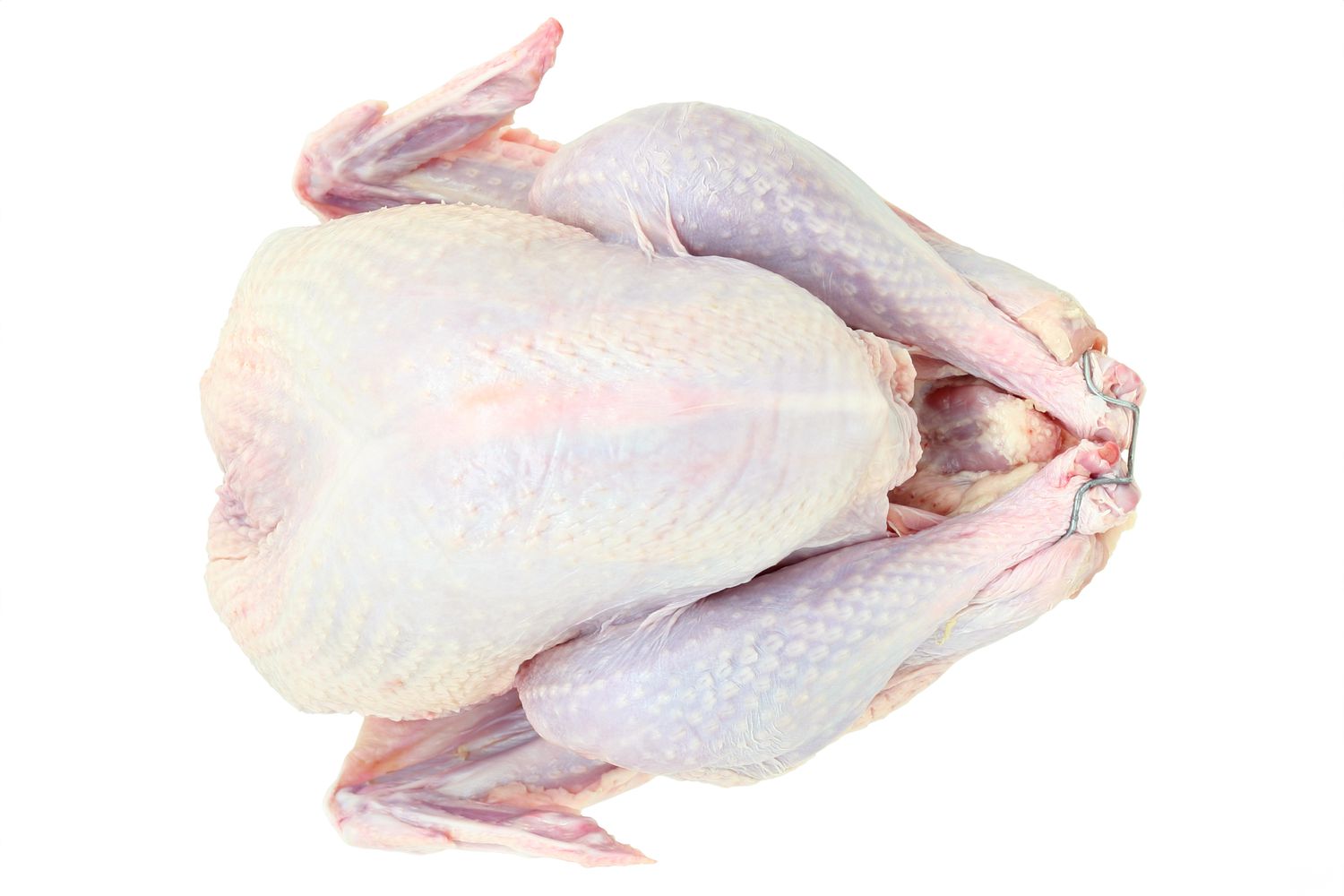 A raw turkey, isolated on a pure white background. 