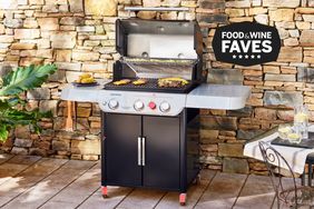 Best Outdoor Grills