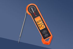 FW meat thermometer one-off tout