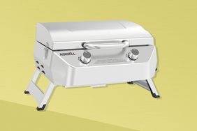 Nexgrill Stainless Steel 2-Burner Portable Gas Grill