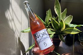 A hand holding a bottle of Non’s Lemon Marmalade Hibiscus non-alcoholic wine in front of a plant