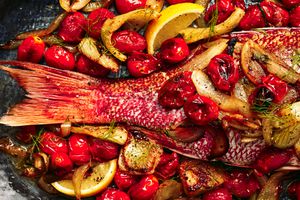 Ouzo Snapper with Fennel and Tomatoes