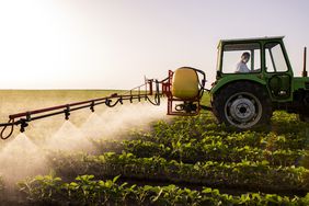 Tractor spraying pesticides on soy field.