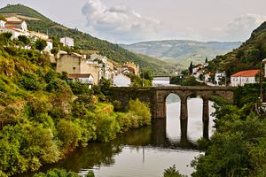 The Douro River