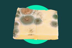 A block of moldy cheese on a teal and green background. 