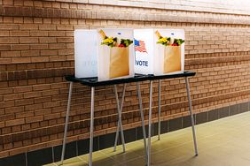 Two voting booths with grocery bags on their sides. 