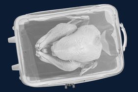 A turkey in a suitcase seen through an x-ray scanner. 