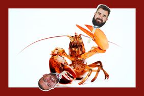 A lobster holding photos of Travis and Jason Kelce on a white and red background. 