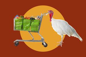 A live turkey pushing a grocery shopping cart over a red and yellow background. 