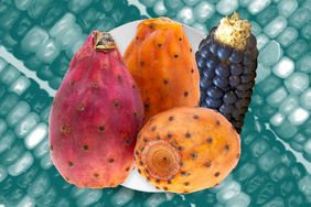 Prickly pears, blue corn on a background of multicolor corn. 