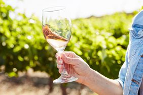 A person swirls their wine glass at a vineyard